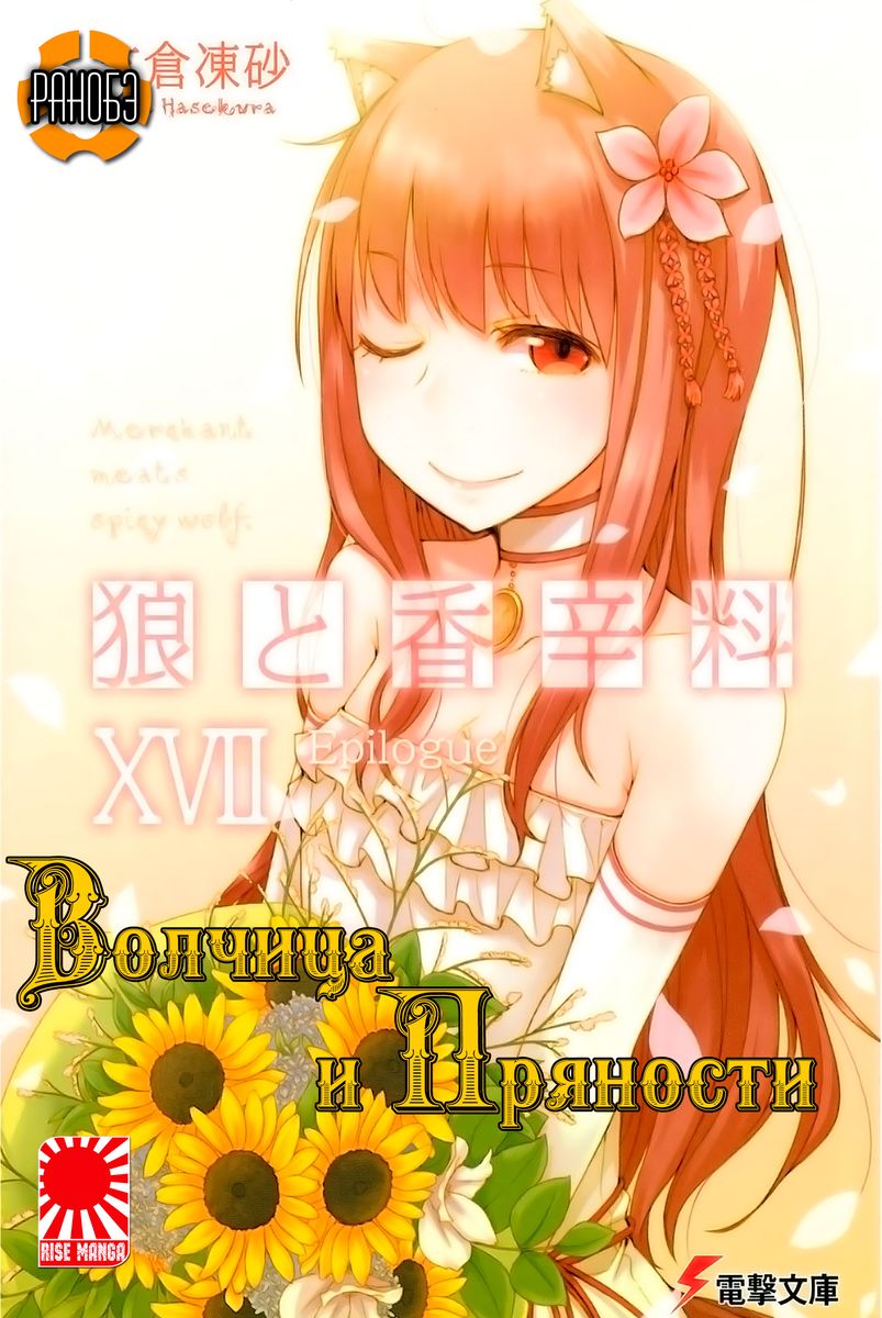 Spice And Wolf Novel 17