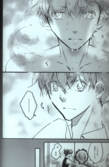 Додзінсі на японській мові &laquo;TENNEN Detective Conan Hozumi TENNEN (Hozumi) wet animal passion prequel&raquo;