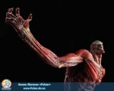 Оригинальная аниме фигурка Wonderful Hobby Selection Colossal Titan Takayuki Takeya Ver. (Good Smile Company Shop Exclusive.)
