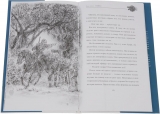 Книга на русском языке «Ледяной дракон»