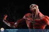 Оригинальная аниме фигурка Wonderful Hobby Selection Colossal Titan Takayuki Takeya Ver. (Good Smile Company Shop Exclusive.)