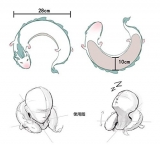 Оригинальная мягкая игрушка Cute Little White Dragon U-shaped 