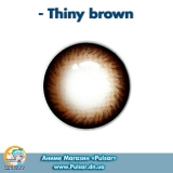 Контактные линзы  Thiny brown