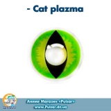 Контактные линзы Cat plazma