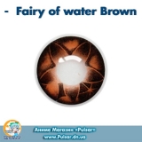 Контактні лінзи Fairy of water brown