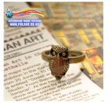 Кольцо в стиле K-POP модель Magic Owl