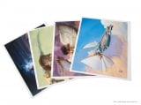 Артбук &laquo;The Art of Magic: The Gathering: Concepts & Legends&raquo; [USA IMPORT]