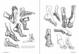 Артбук «Morpho: Anatomy for Artists» [USA IMPORT]
