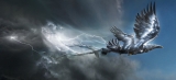 Артбук &laquo;The Art of the Film: Fantastic Beasts and Where to Find Them&raquo; [USA IMPORT]