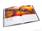 Артбук &laquo;The Art of Magic: The Gathering: Concepts & Legends&raquo; [USA IMPORT]