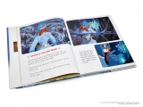 Артбук &laquo;Nausica&auml; of the Valley of the Wind Picture Book &raquo; [USA IMPORT]