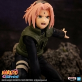 Оригінал (аніме): Naruto: Shippuuden аніме 나루토 질풍전 Ім'я персонажа: Sakura Haruno персонаж 하루노 사쿠라 В обігу з: Червень, 2023 Тип фігурки: Game Prize Матеріал: PVC, ABS Висота: 90 мм Виробник: Bandai Spirits Серія: Panel Spectacle ～Aratanaru Sansukumi～
