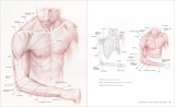 Артбук «Dynamic Human Anatomy: An Artist's Guide to Structure, Gesture, and the Figure in Motion» [USA IMPORT]