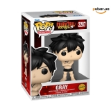 Виниловая фигурка &laquo;Funko POP! &bull; [CHASE VERSION] &bull; Fairy Tail ◉ Gray № 2287&raquo;