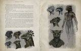 Артбук The Skyrim Library - Volumes I, II & III (Box Set) Hardcover &ndash;   [ USA IMPORT ]