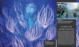 Артбук &laquo;The World of Avatar Updated Edition&raquo; 