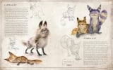 Артбук &laquo;Star Wars Bestiary, Vol. 1: Creatures of the Galaxy&raquo; 
