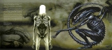 Артбук &laquo;The Art and Making of Alien: Covenant&raquo; [USA IMPORT]