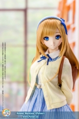 Шарнирная кукла BJD Iris Collect - Noix / My peaceful day Complete Doll