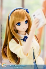 Шарнирная кукла BJD Iris Collect - Noix / My peaceful day Complete Doll