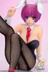 Оригинальная аниме фигурка V.I.P Rare Selection 2010 Winter Illustrated by Kohaku Sumeragi "Minori Aiba" 1/7 Complete Figure