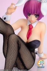 Оригинальная аниме фигурка V.I.P Rare Selection 2010 Winter Illustrated by Kohaku Sumeragi "Minori Aiba" 1/7 Complete Figure