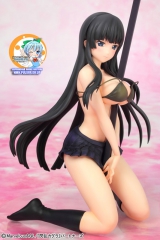 Senran Kagura - Ikaruga -ver.Два- 1/7 Complete Figure