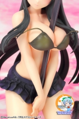 Senran Kagura - Ikaruga -ver.Два- 1/7 Complete Figure