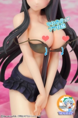 Senran Kagura - Ikaruga -ver.Два- 1/7 Complete Figure