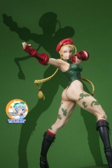 STREET FIGHTER Bishoujo - Cammy 1/7 Complete Figure