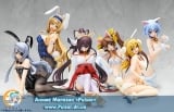 Оригинальная аниме фигурка Infinite Stratos - Houki Shinonono Kitsune Miko Ver. 1/4 Complete Figure