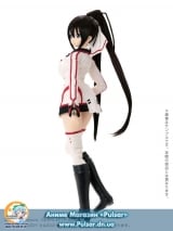 Ball-jointed doll  1/3 Hybrid Active Figure - Infinite Stratos: Houki Shinonono Complete Doll