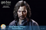 Ball-jointed doll  My Favorite Movie Series 1/6 Sirius Black (Prisoner of Azkaban) Collectible Action Figure