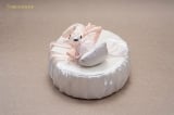 Оригинальная аниме фигурка &laquo;SSR FIGURE Wakening White Haired-Chan 1/7 Complete Figure&raquo;