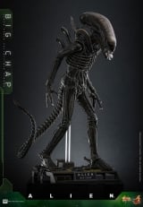 Оригінальна фігурка &laquo;Movie Masterpiece "Alien" 1/6 Scale Figure Big Chap (2.0)&raquo;