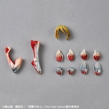 Оригинальная аниме фигурка &laquo;Revoltech Amazing Yamaguchi Attack on Titan Female Titan&raquo;