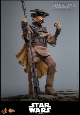 Оригинальная  фигурка &laquo;Movie Masterpiece Star Wars EP6 1/6 Leia Organa (Boushh)&raquo;