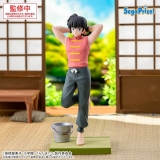 Оригинальная аниме фигурка &laquo;"Ranma 1/2" Luminasta Saotome Ranma&raquo;