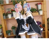 Парик Re:Zero Rem/Ram   