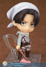 Levi Cleaning 