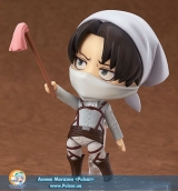 Levi Cleaning 