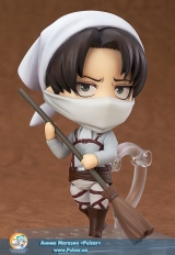 Levi Cleaning 