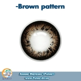 Контактные линзы Brown Pattern