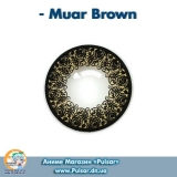 Контактные линзы Muar Brown