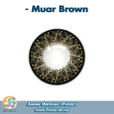 Контактні лінзи Muar Brown