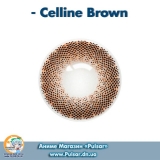 Контактные линзы  Celline Brown