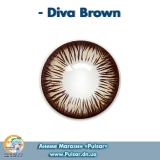 Контактные линзы  Diva Brown