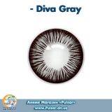 Контактные линзы  Diva Gray