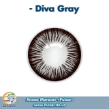 Контактные линзы  Diva Gray