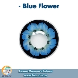 Контактные линзы  Blue Flower